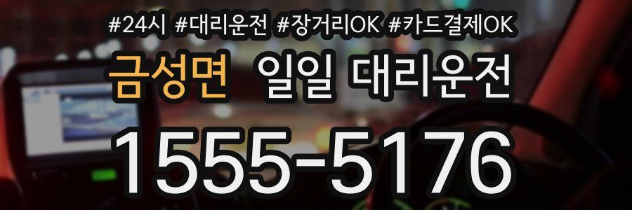 금성면 일일 대리운전