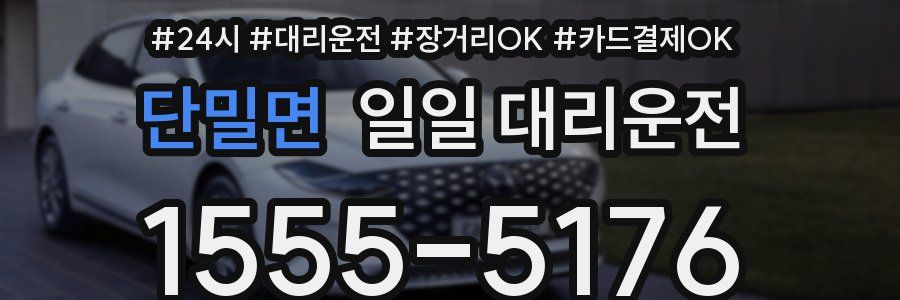 단밀면 일일 대리운전
