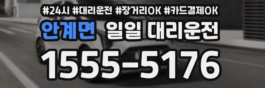 안계면 일일 대리운전