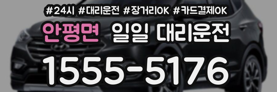 안평면 일일 대리운전