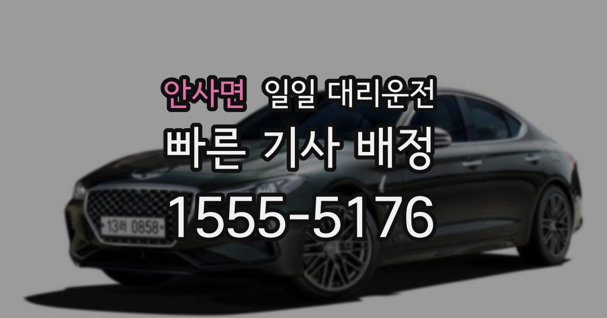 안사면 일일 대리운전