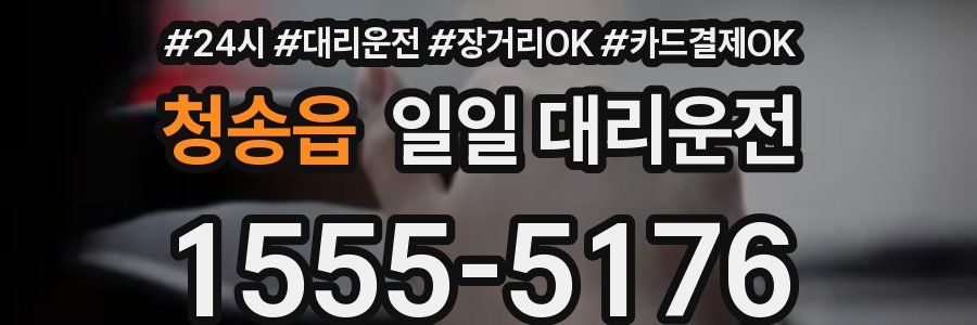 청송읍 일일 대리운전