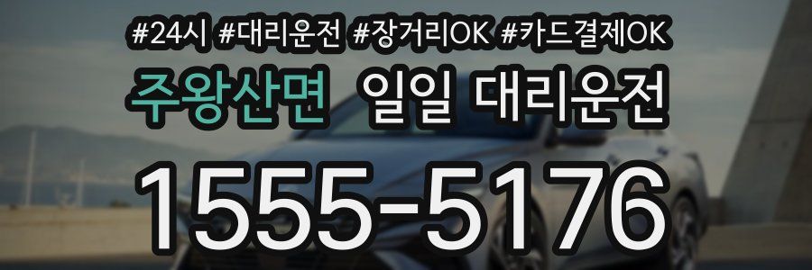 주왕산면 일일 대리운전
