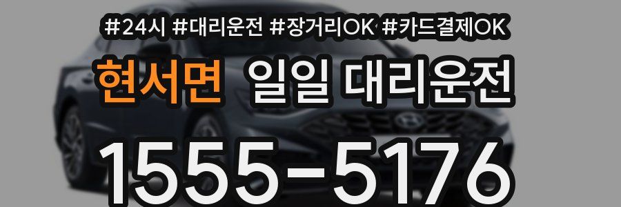 현서면 일일 대리운전