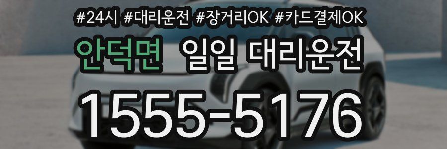 안덕면 일일 대리운전