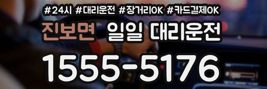 진보면 일일 대리운전