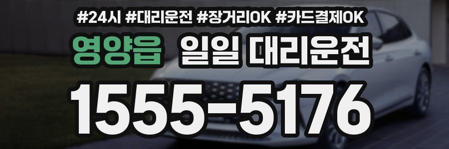 영양읍 일일 대리운전