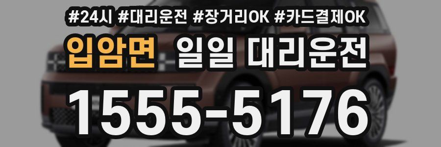 입암면 일일 대리운전