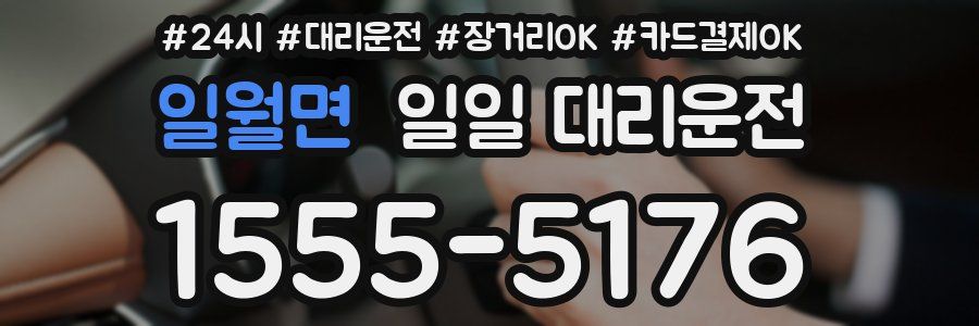 일월면 일일 대리운전