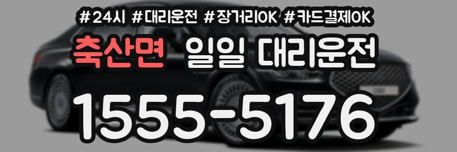 축산면 일일 대리운전