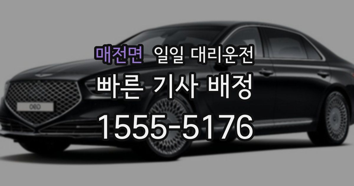 매전면 일일 대리운전