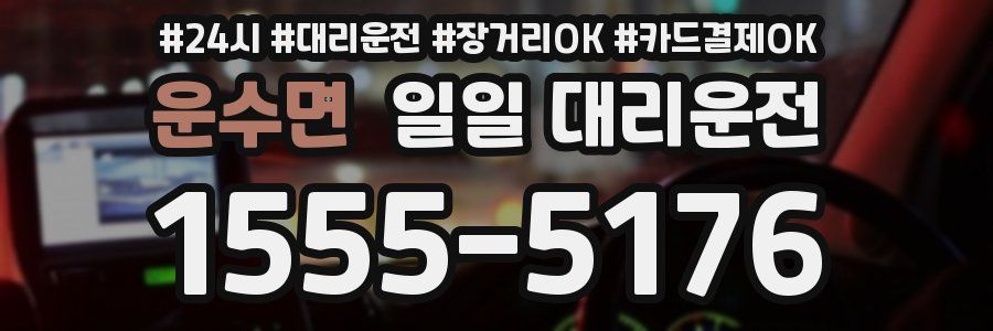 운수면 일일 대리운전