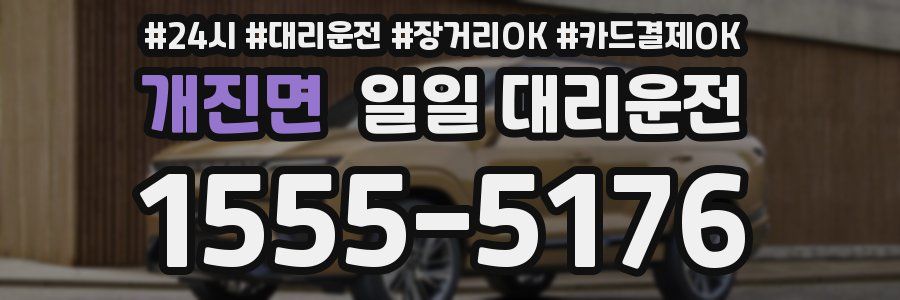 개진면 일일 대리운전
