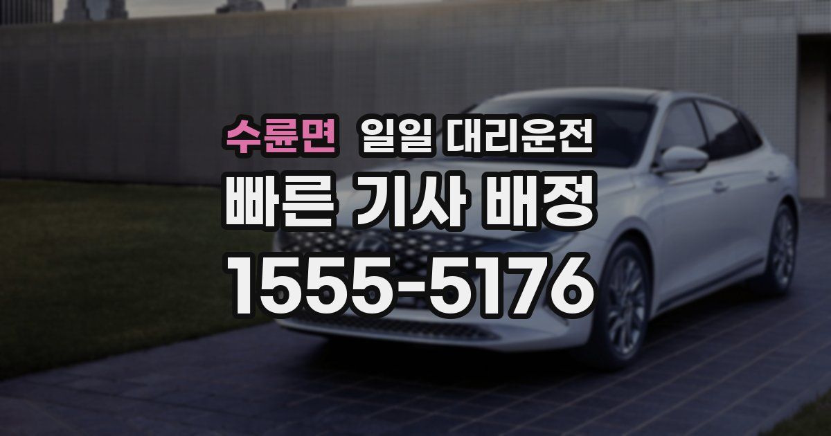 수륜면 일일 대리운전