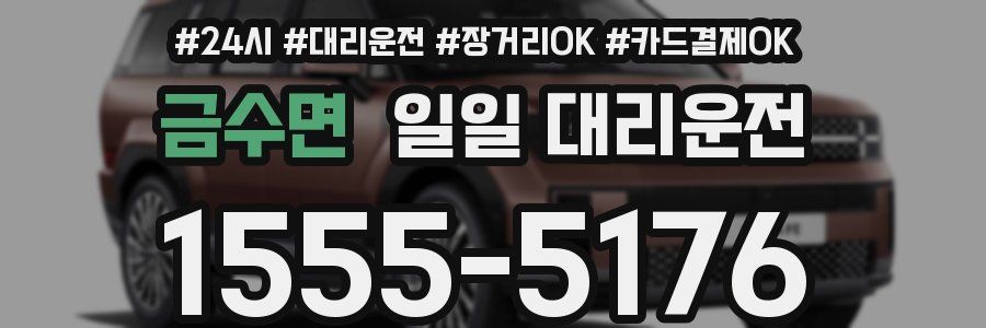 금수면 일일 대리운전