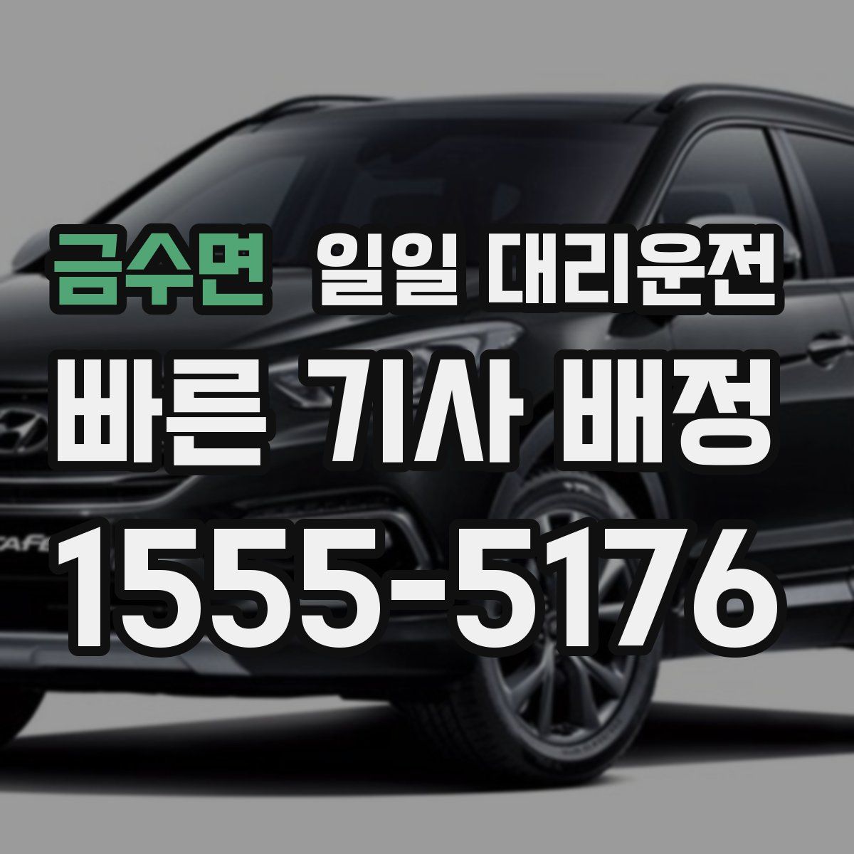 금수면 일일 대리운전