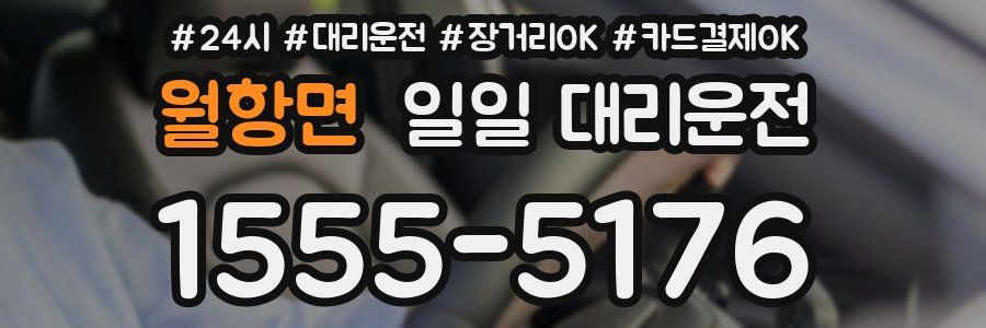 월항면 일일 대리운전