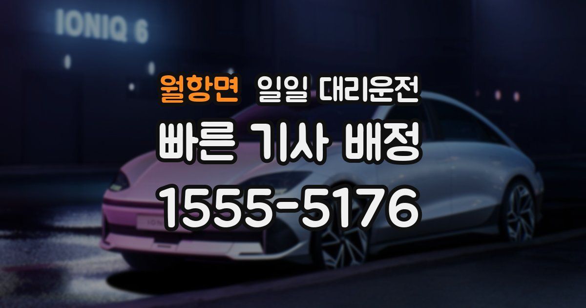 월항면 일일 대리운전