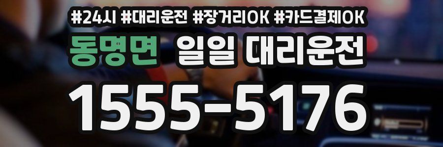 동명면 일일 대리운전