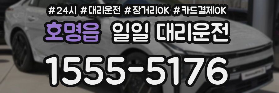 호명읍 일일 대리운전