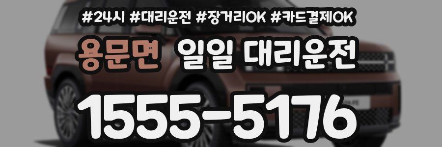 용문면 일일 대리운전