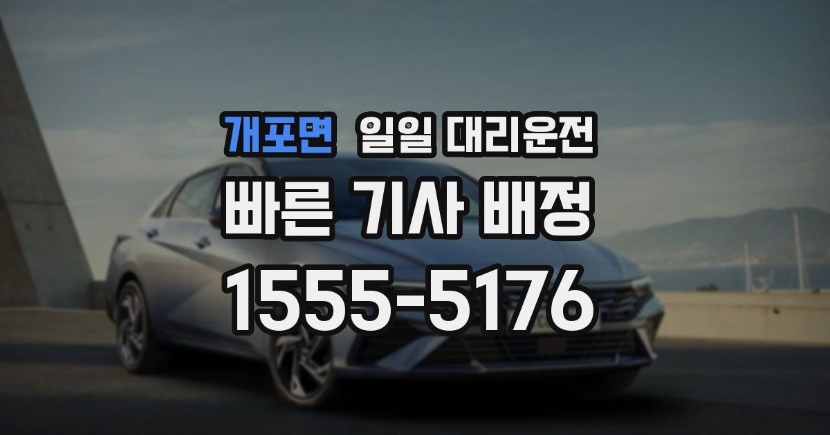 개포면 일일 대리운전