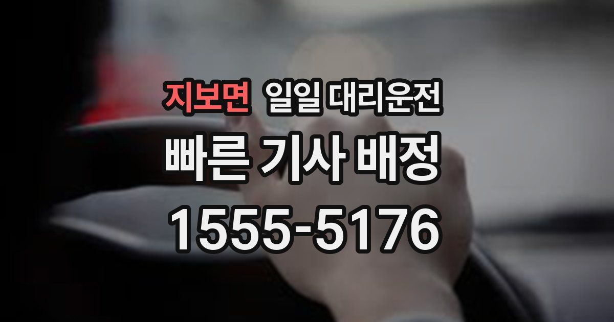 지보면 일일 대리운전