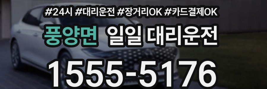 풍양면 일일 대리운전