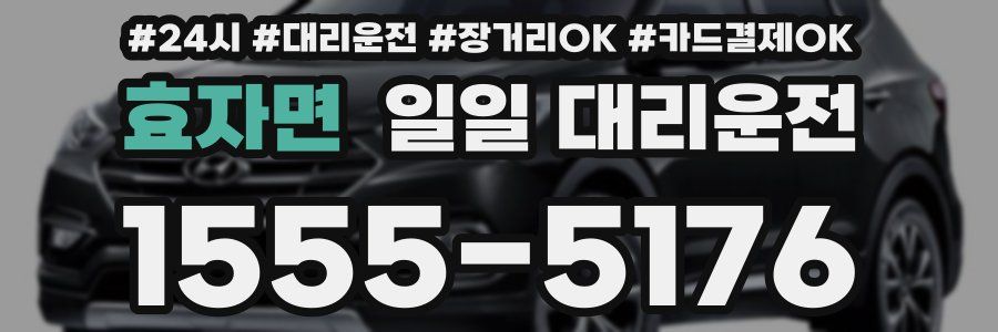 효자면 일일 대리운전