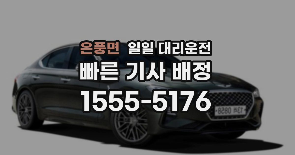 은풍면 일일 대리운전