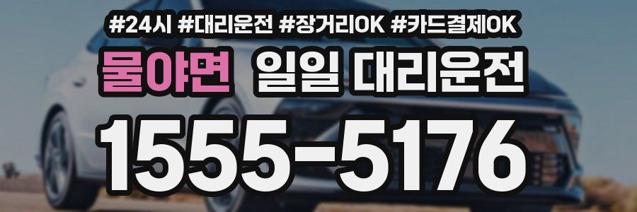물야면 일일 대리운전
