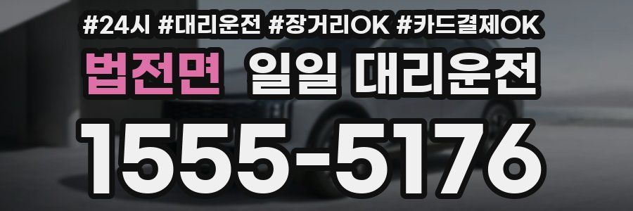 법전면 일일 대리운전