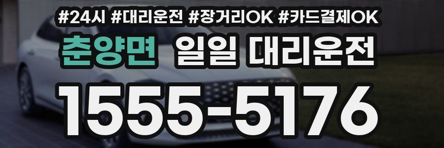 춘양면 일일 대리운전