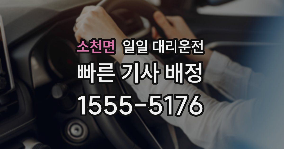 소천면 일일 대리운전