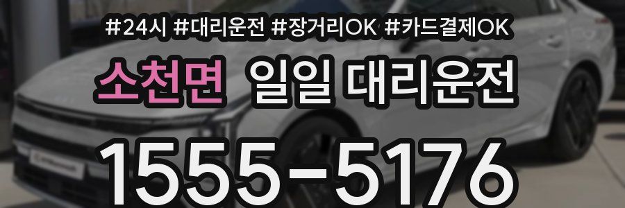소천면 일일 대리운전