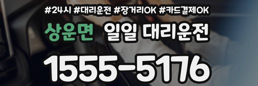 상운면 일일 대리운전
