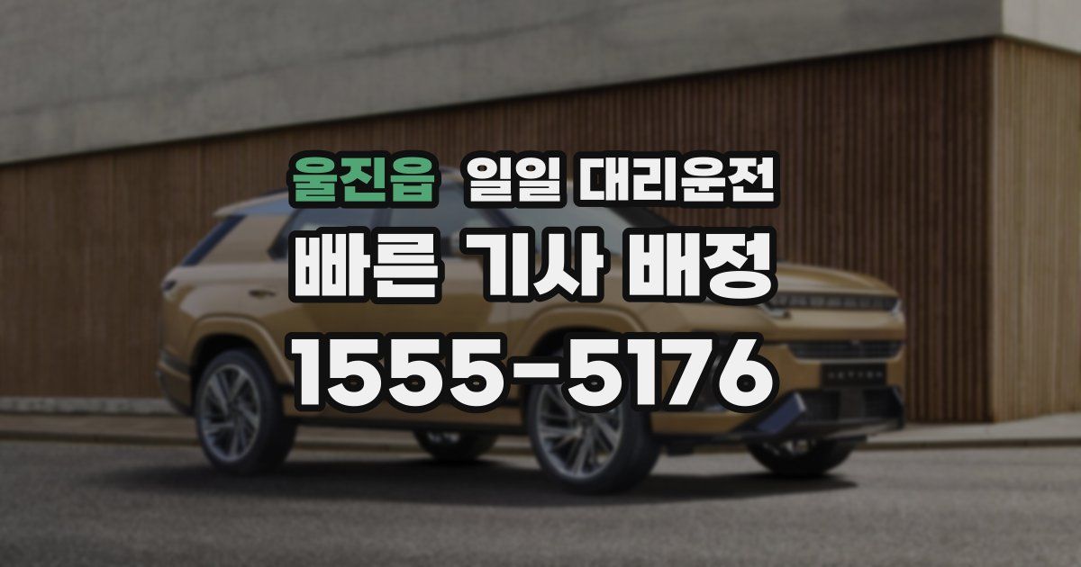 울진읍 일일 대리운전