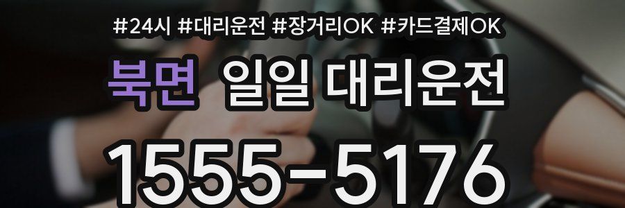 북면 일일 대리운전