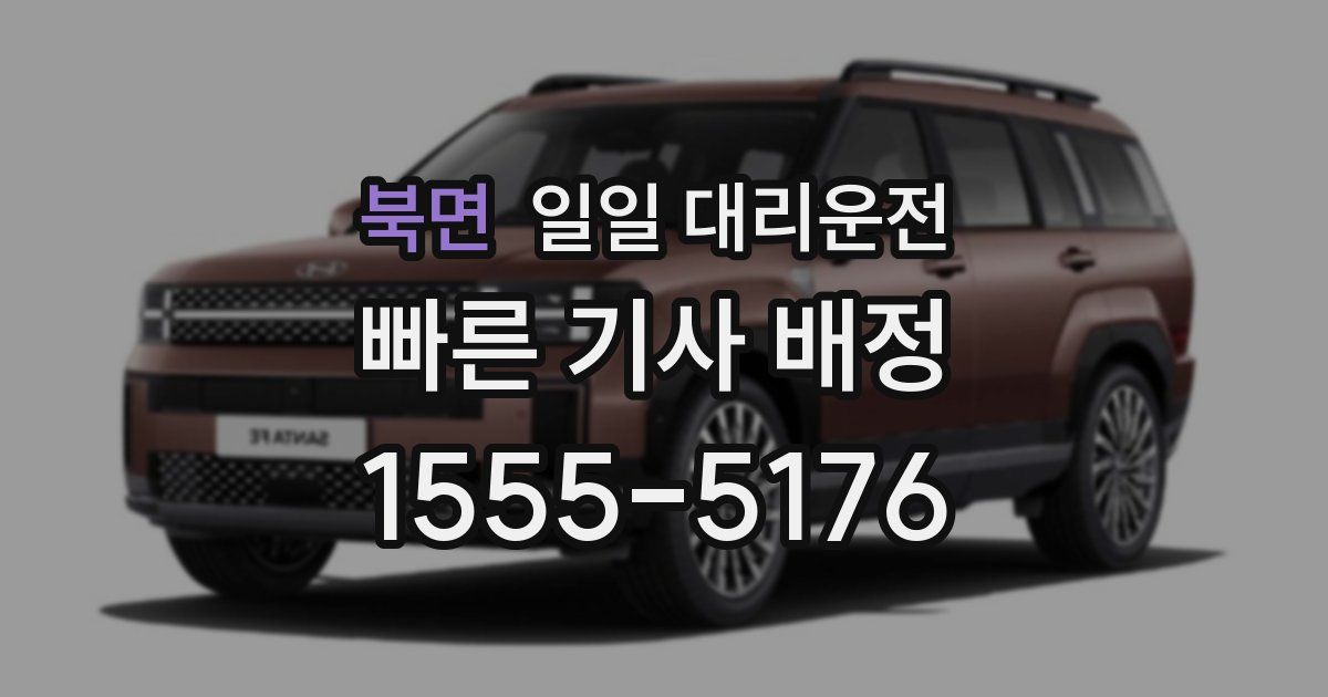 북면 일일 대리운전