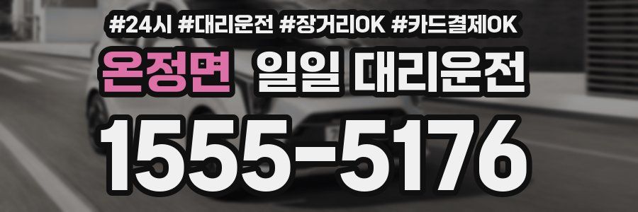 온정면 일일 대리운전