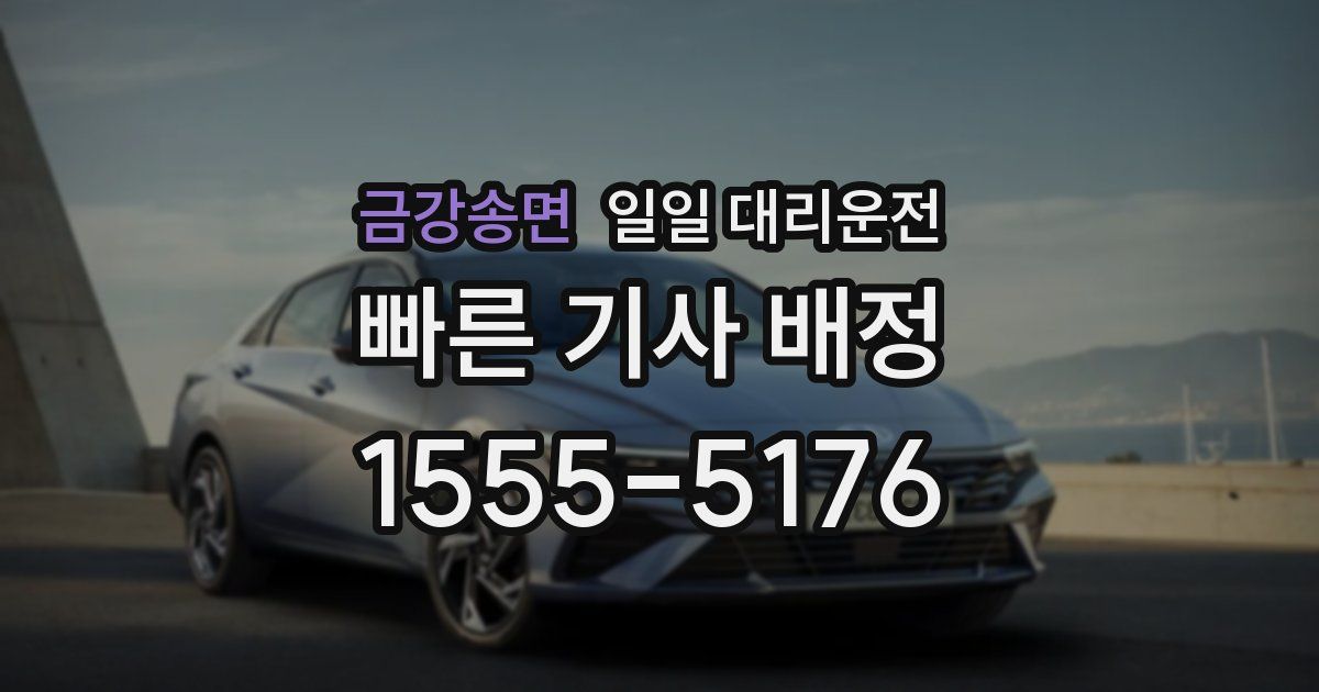 금강송면 일일 대리운전
