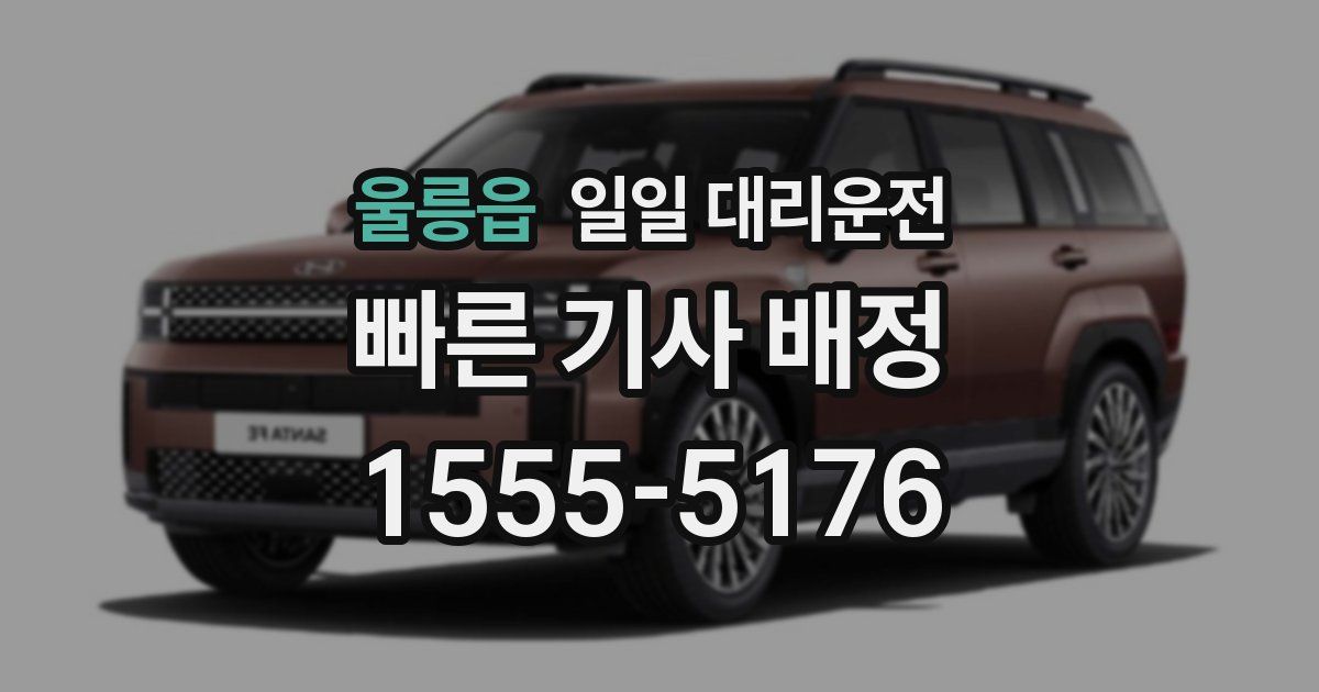 울릉읍 일일 대리운전