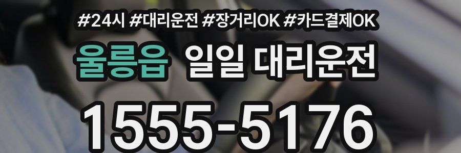 울릉읍 일일 대리운전