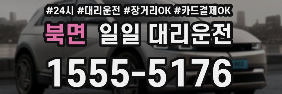 북면 일일 대리운전
