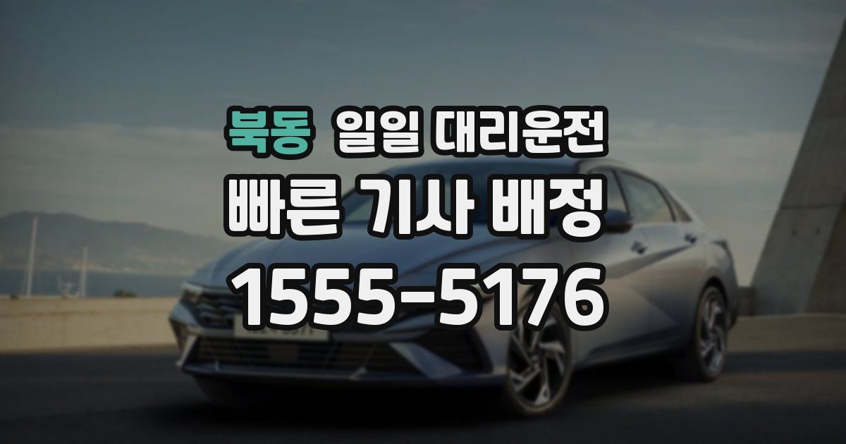 북동 일일 대리운전
