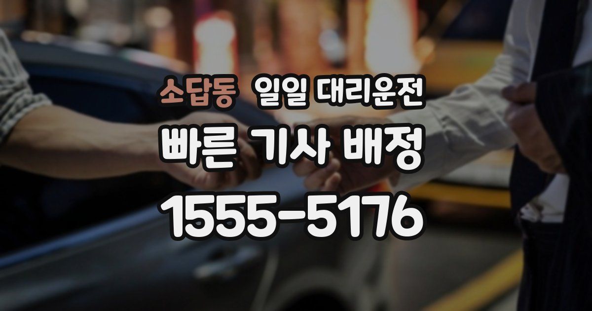 소답동 일일 대리운전