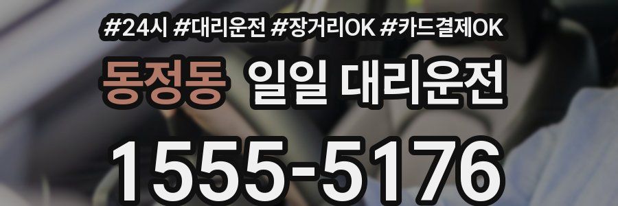 동정동 일일 대리운전