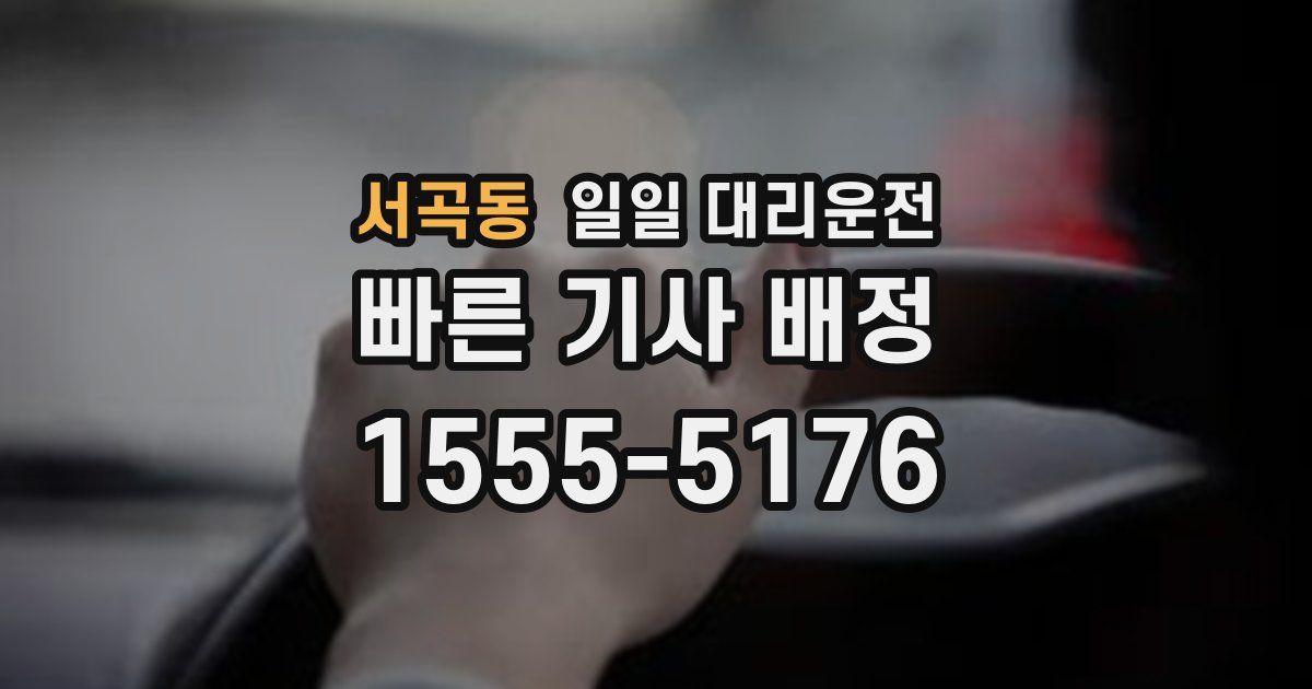 서곡동 일일 대리운전