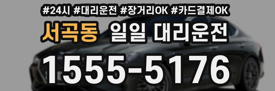 서곡동 일일 대리운전