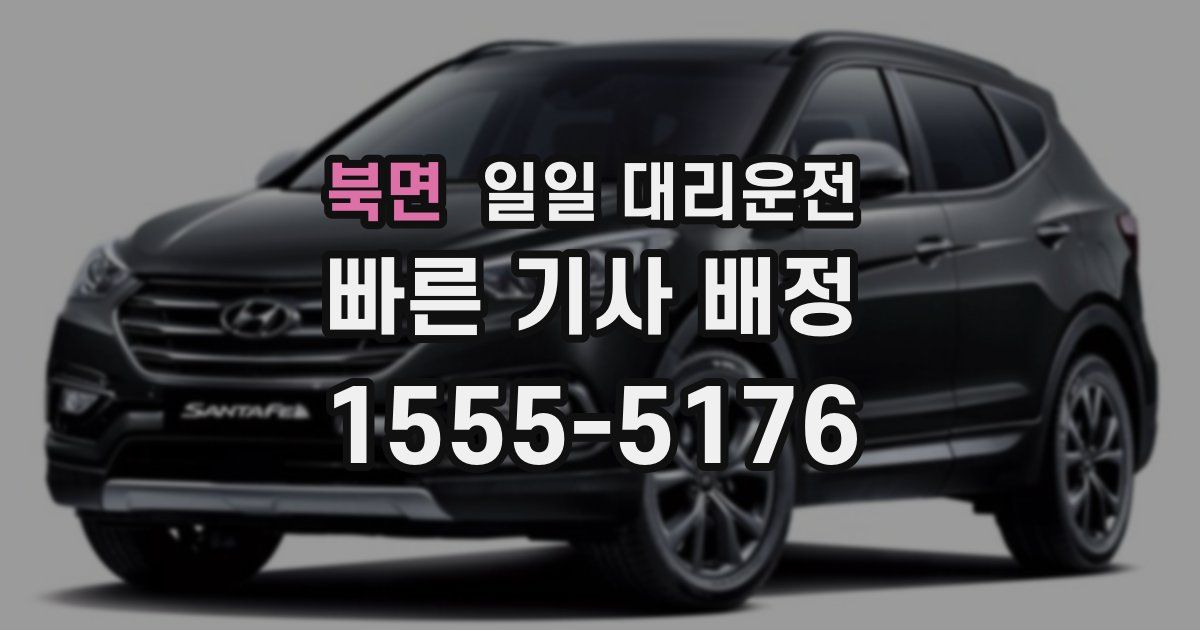 북면 일일 대리운전